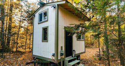 Cozy tiny house glamping In the white mountains!