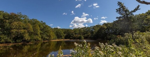 Property grounds - Edgartown Cottage By The Pond (Edgartown)