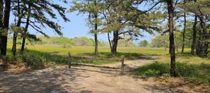 Property grounds - Edgartown Cottage By The Pond (Edgartown)