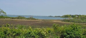Property grounds - Edgartown Cottage By The Pond (Edgartown)