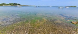 Miscellaneous - Edgartown Cottage By The Pond (Edgartown)