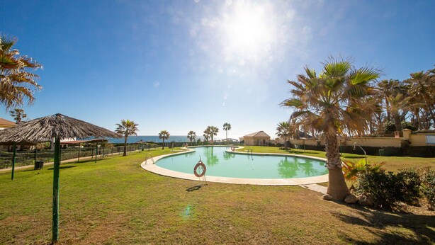 A swimming pool with a clear view of the ocean, surrounded by palm trees and a thatched-roof structure.