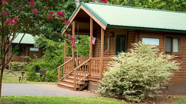 A wooden cabin with a porch, surrounded by greenery and a small bush. - Carowinds Camp Wilderness (Charlotte)