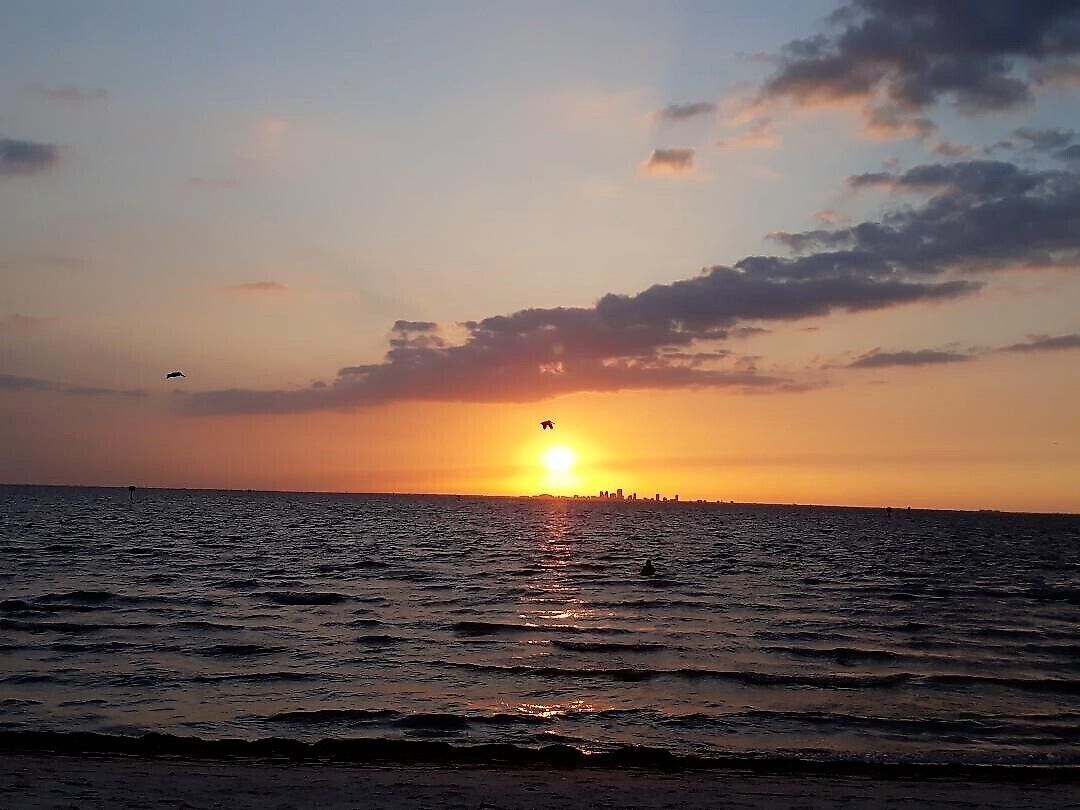 Apollo Beach Private vacation home