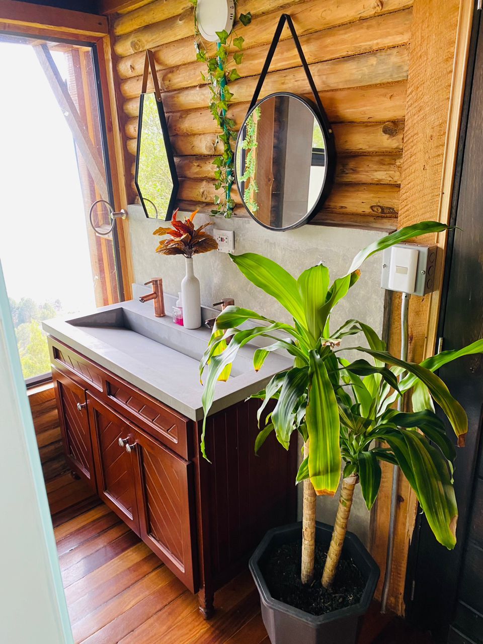 A wooden cabin interior with a wooden floor, a sink with a white countertop, wooden cabinets, a potted plant, and a mirror on the wall.