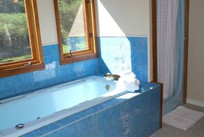 Een douche, een bubbelbad, een haardroger, handdoeken