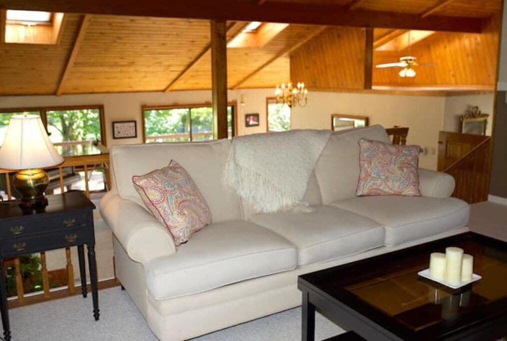 Smart TV, fireplace, DVD player, video library