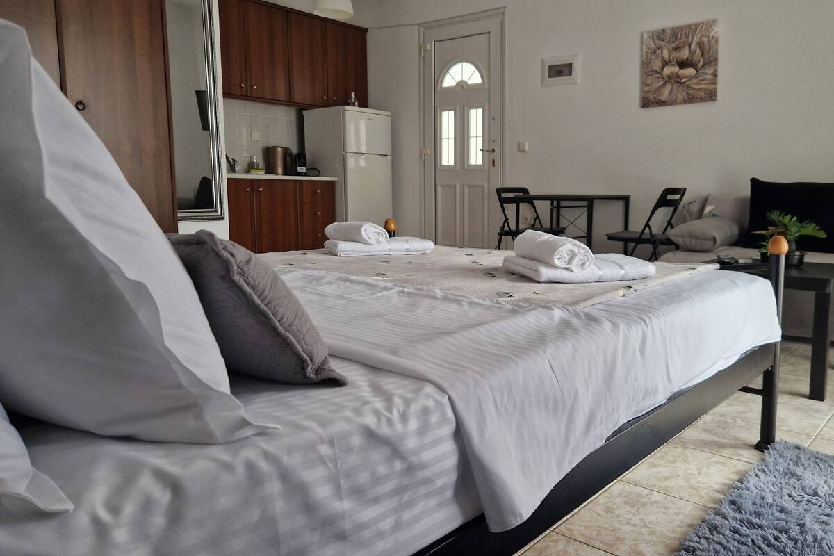 A bedroom with a bed, a desk, a chair, a sofa, and a small table with a plant.