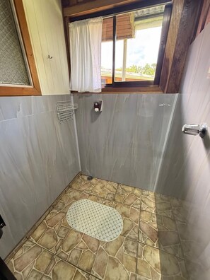 Shower, towels, soap, toilet paper