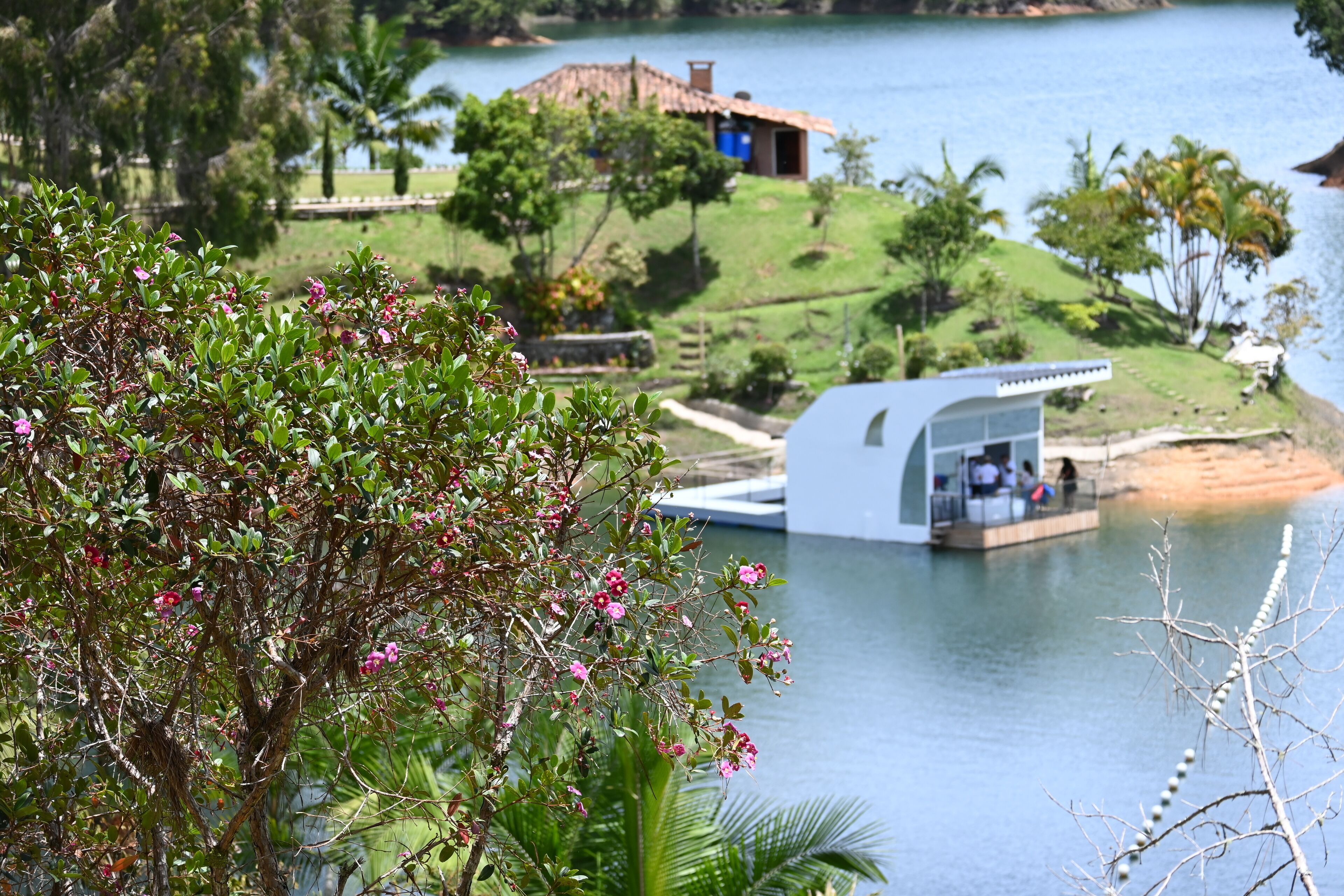 Vista al lago con una estructura moderna, abundante vegetación y un edificio distante.