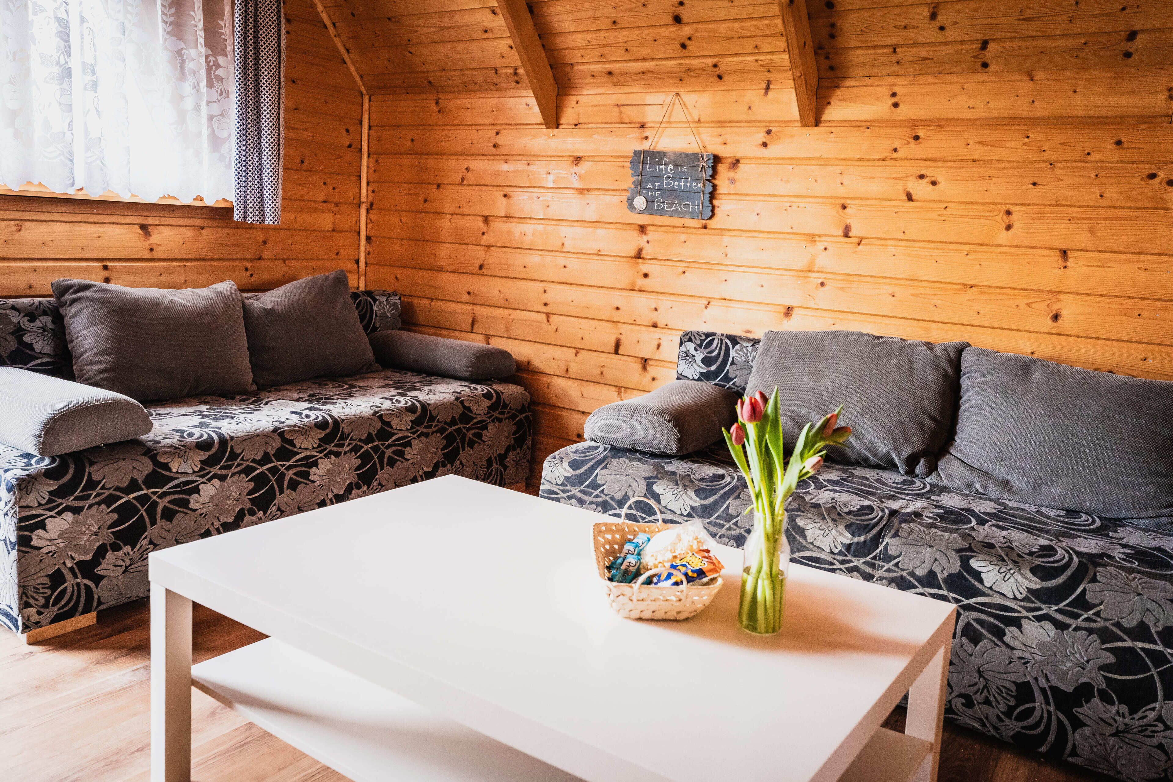 電視、足球機、書籍