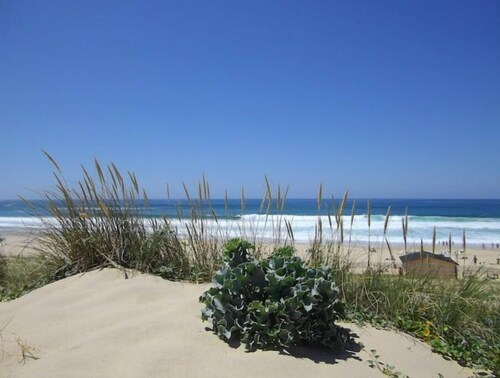 La Cabane N°20, Plage à Pieds