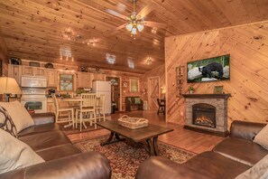 Smart TV, fireplace, books