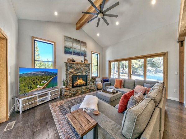 Smart TV, fireplace, books