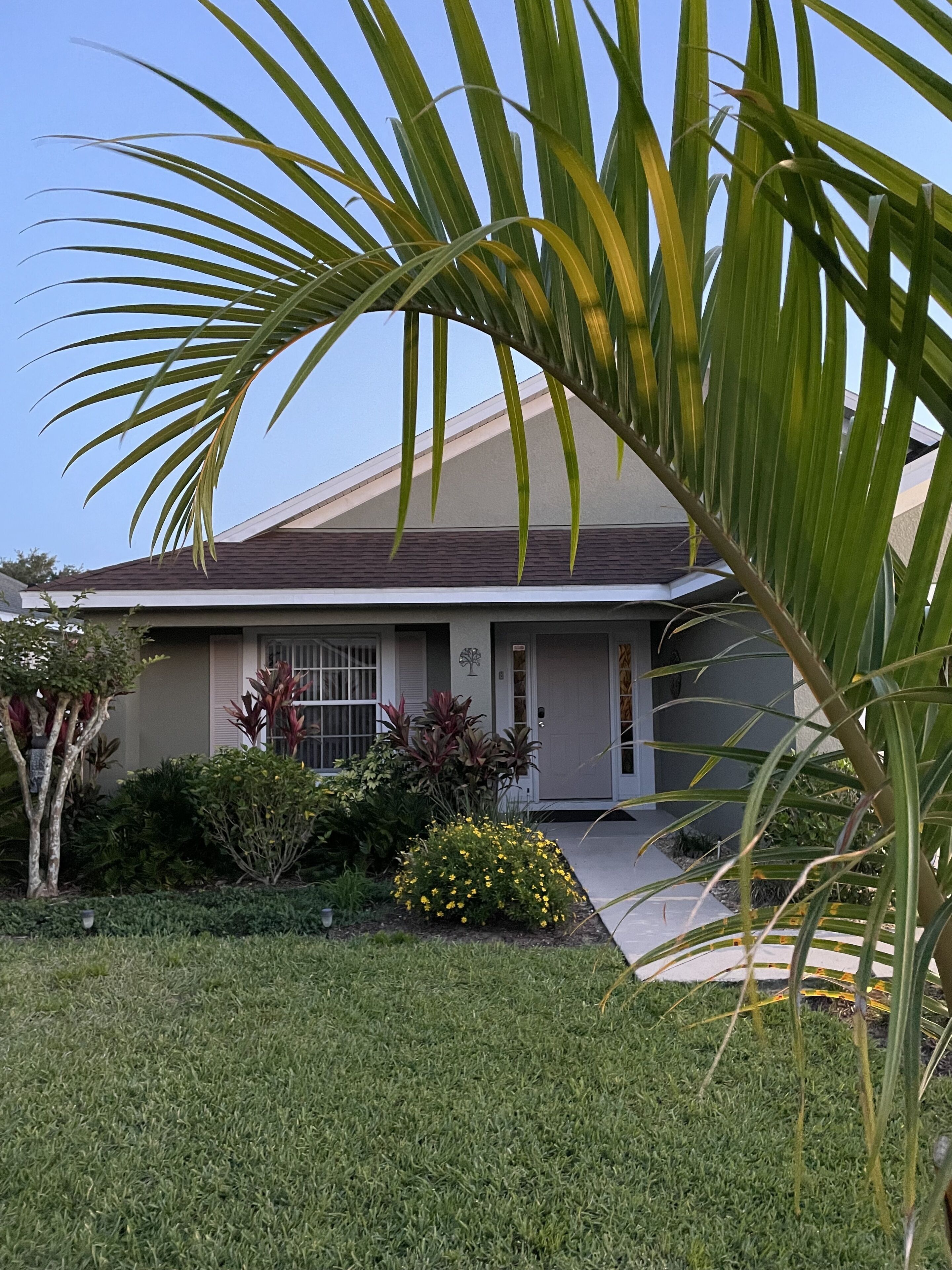A residential house with a well-maintained lawn, a palm tree, and various shrubs.