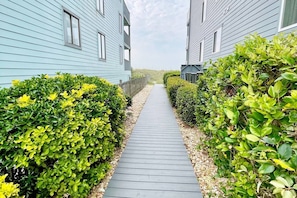 A pathway flanked by blue buildings and lush green bushes.