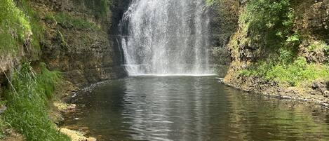Een waterval stort neer in een helder stroompje, omringd door weelderige begroeiing.