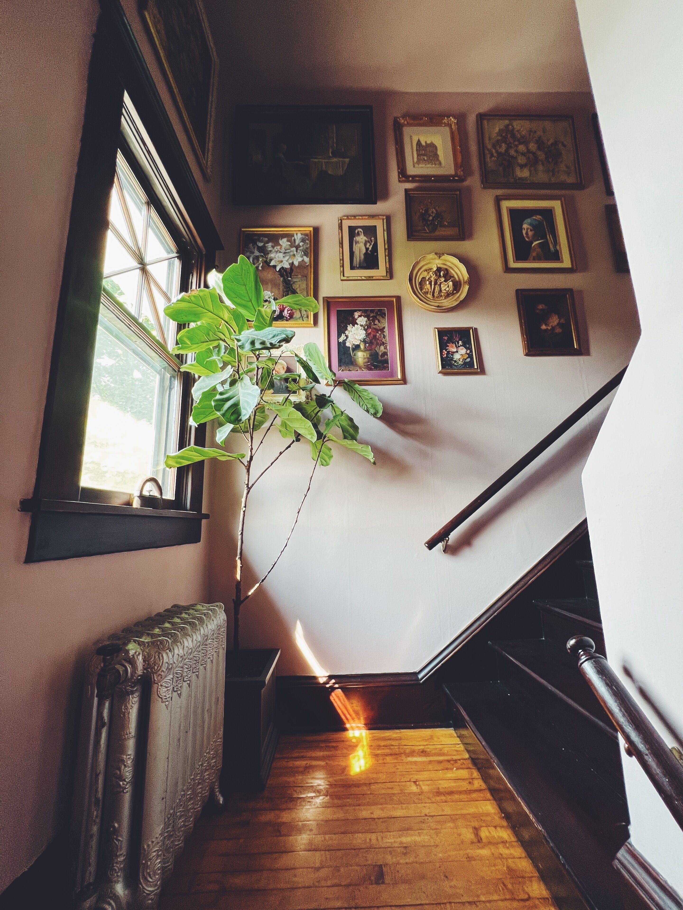 Foto - Marianna Stoltz House
