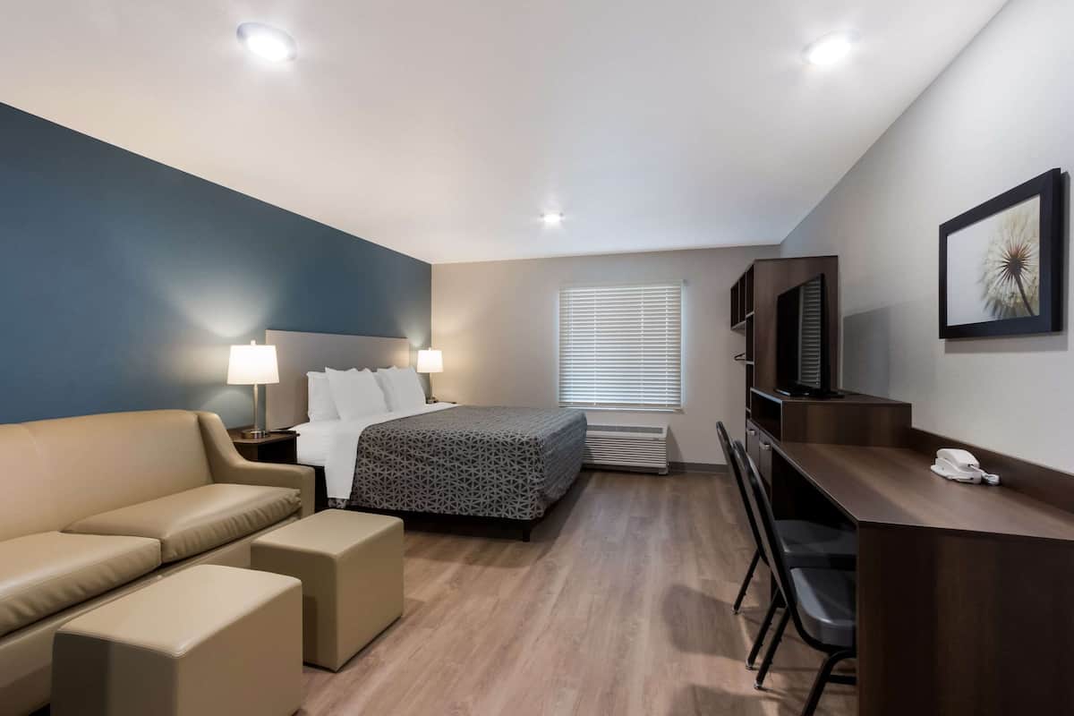 A hotel room with a bed, a sofa, a desk, and a chair.