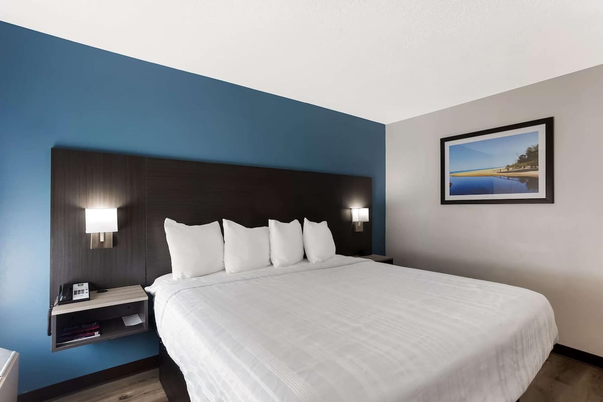 Room, 1 King Bed, Non Smoking | Pillowtop beds, individually decorated, individually furnished, desk