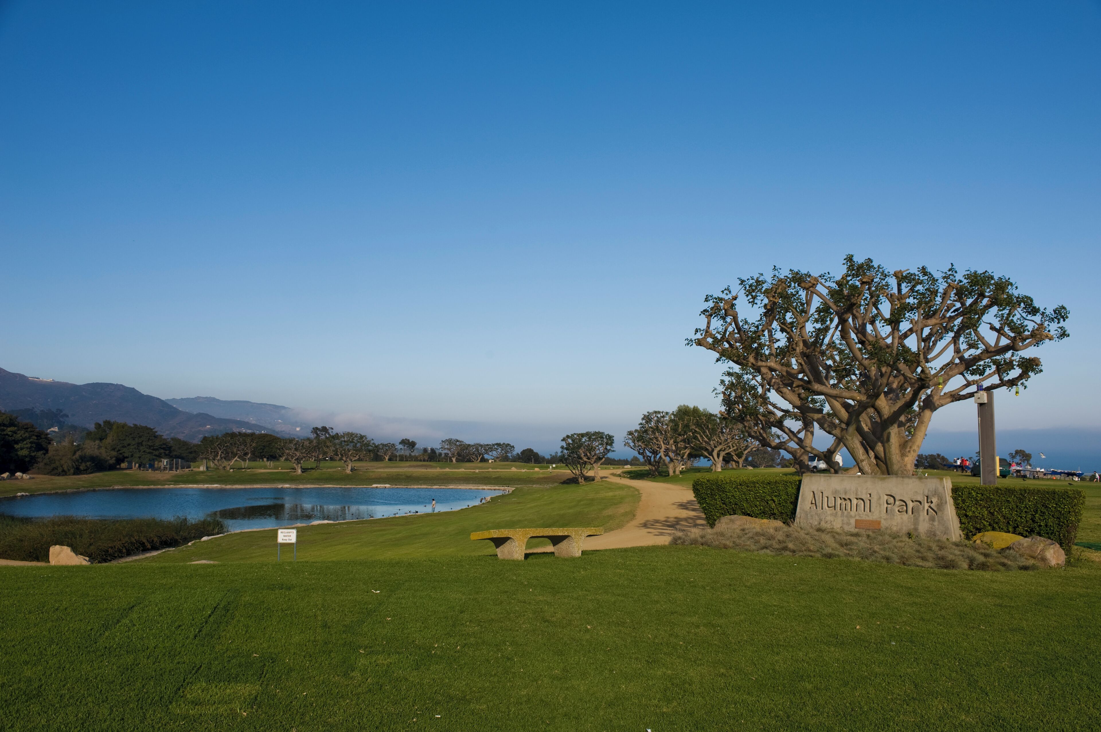 A golf course with a large tree labeled "Alumni Park," a pond, and a clear blue sky.