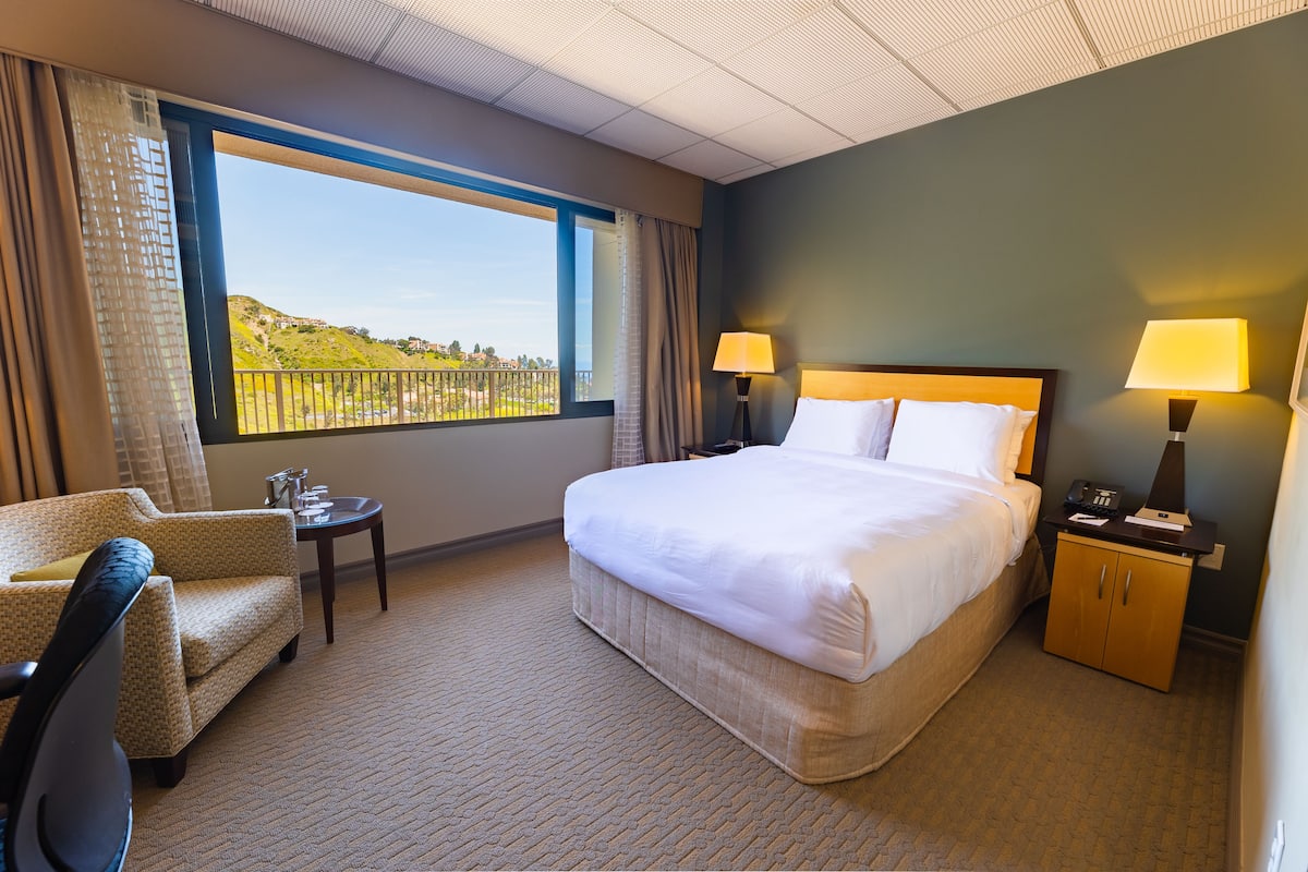 Premium bedding, desk, blackout curtains, iron/ironing board