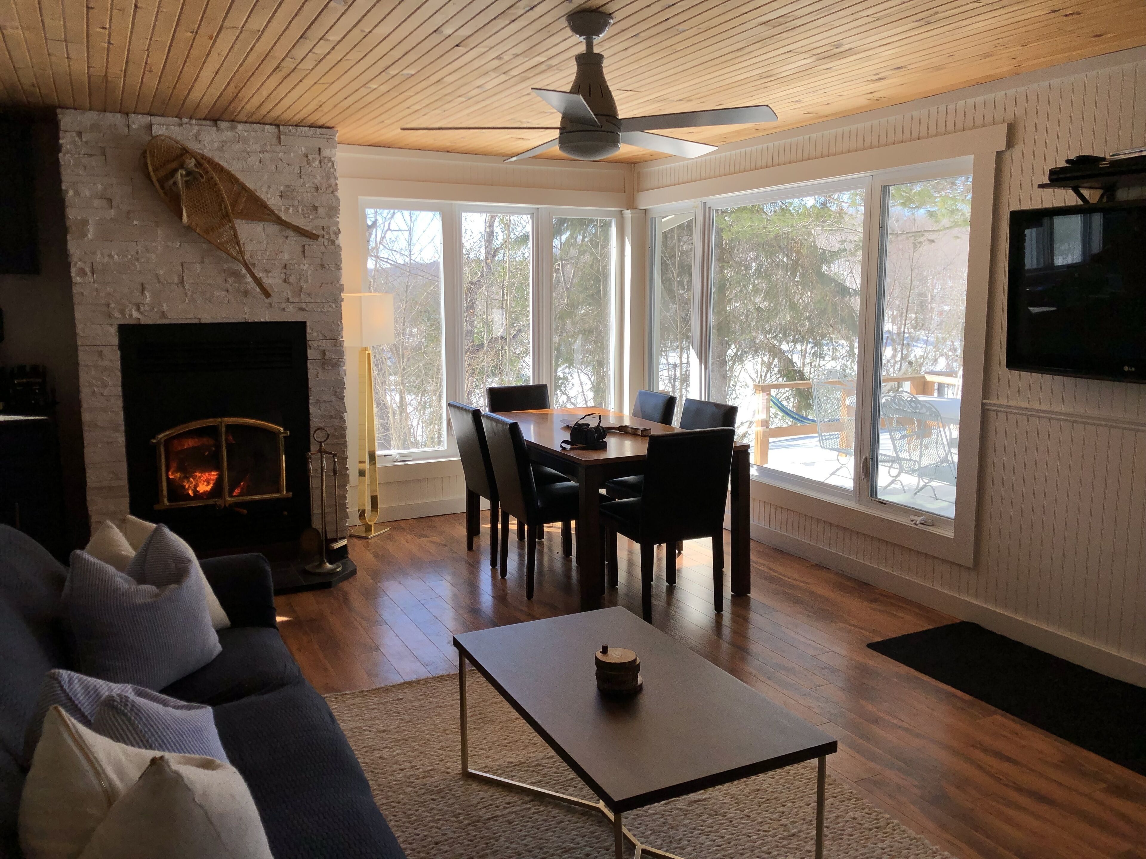 Smart TV, chimenea, reproductor de DVD y libros 