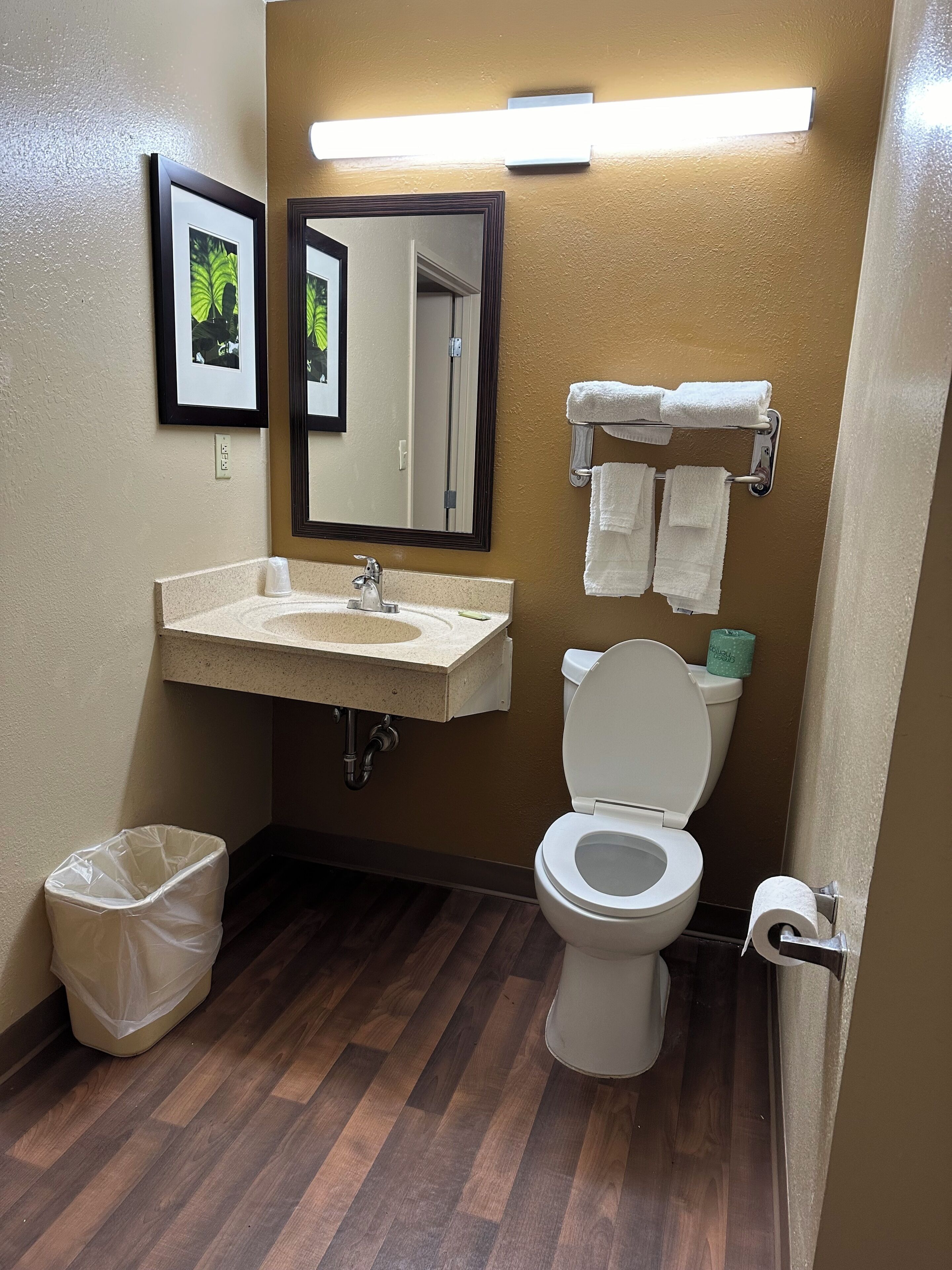 Un baño con lavamanos, inodoro y perchero para toallas.