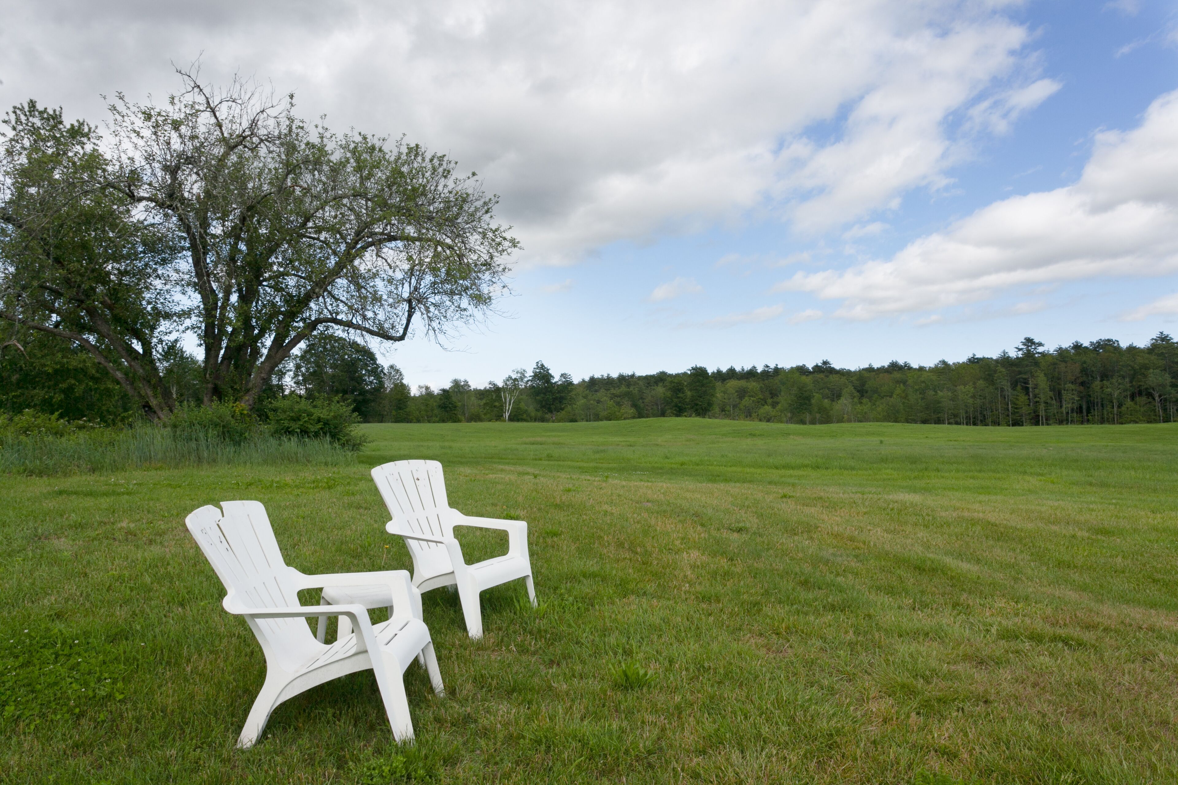 Unit 1- Abbott Brook Inn- Lg space w/full kitchen, farm setting near attractions