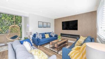 Smart TV, fireplace, video games, books