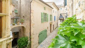 A narrow street with buildings featuring traditional architecture, a small courtyard, and a large green plant in the foreground.