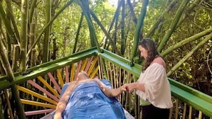 Property grounds - Crystal Green Studio ~ Cool, quiet, safe, 7 minutes to beach or town (St Thomas)