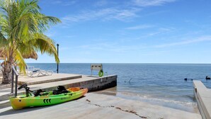 Un quai en béton avec un kayak, des chaises longues et un palmier.
