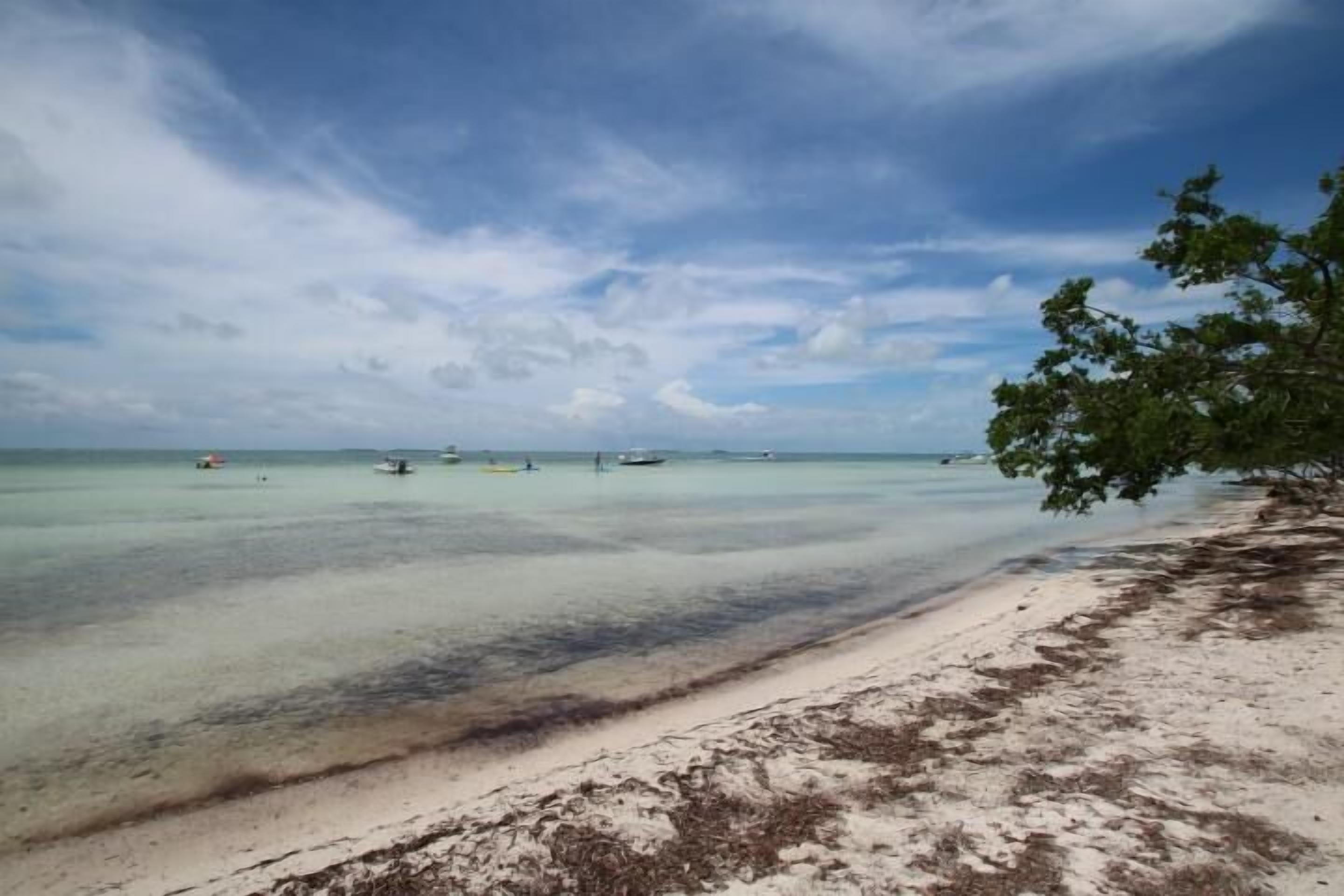 A beach with clear turquoise water, boats, and a tree on the right.