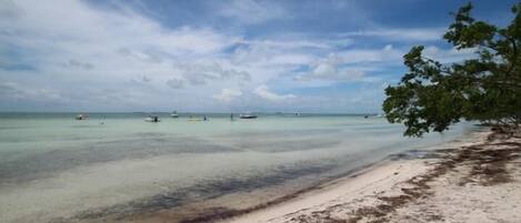 A beach with clear turquoise water, boats, and a tree on the right.