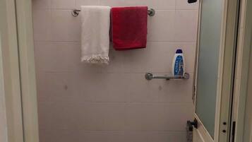Shower, hair dryer, bathrobes, bidet