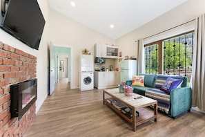 Smart TV, fireplace, books