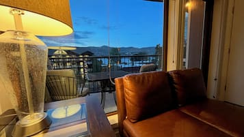 Smart TV, fireplace, DVD player, books