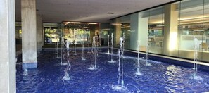 Pool - Exotic Optima Biltmore Towers (Phoenix)