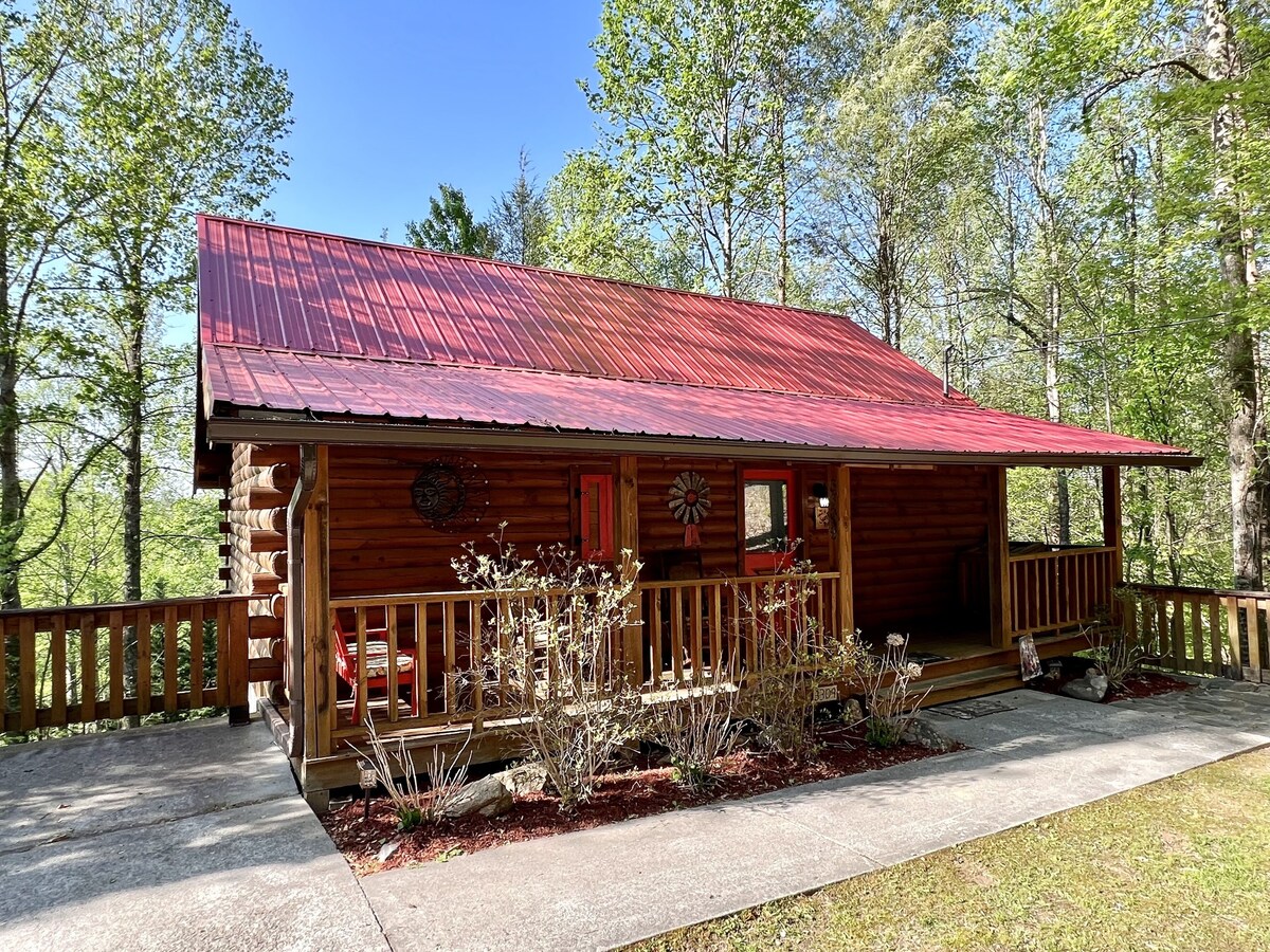 Cozy cabin 2 miles from Parkway! Secluded_Screen Porch_Wifi_Pool_Dog Friendly