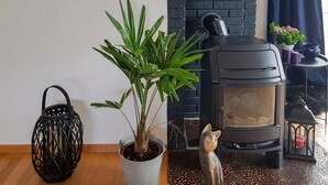 Ein Zimmer mit einem schwarzen Kaminofen, einem Topf mit Pflanze, einem schwarzen gewebten Korb und einer kleinen Holzkatze.