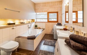 Combined shower/tub, hair dryer