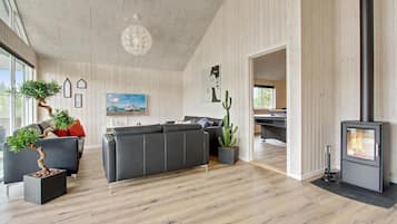 Tv, pejs, dvd-afspiller, bordfodbold