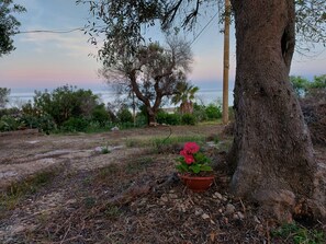 Terrain de l’hébergement 