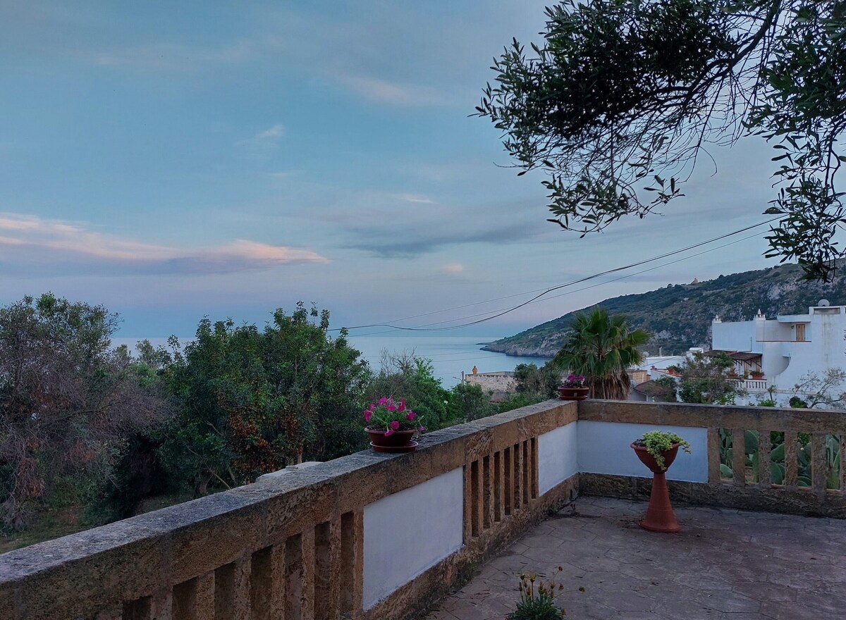 Imagen de perfil del propietario o de la propietaria