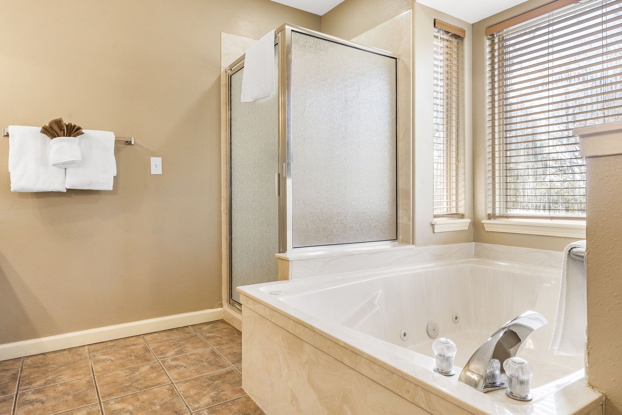 Combined shower/tub, jetted tub, hair dryer, towels