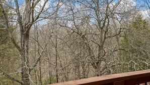 Eine Holzterrasse mit Blick auf einen dichten Wald mit hoch aufragenden, kahl stehenden Bäumen.