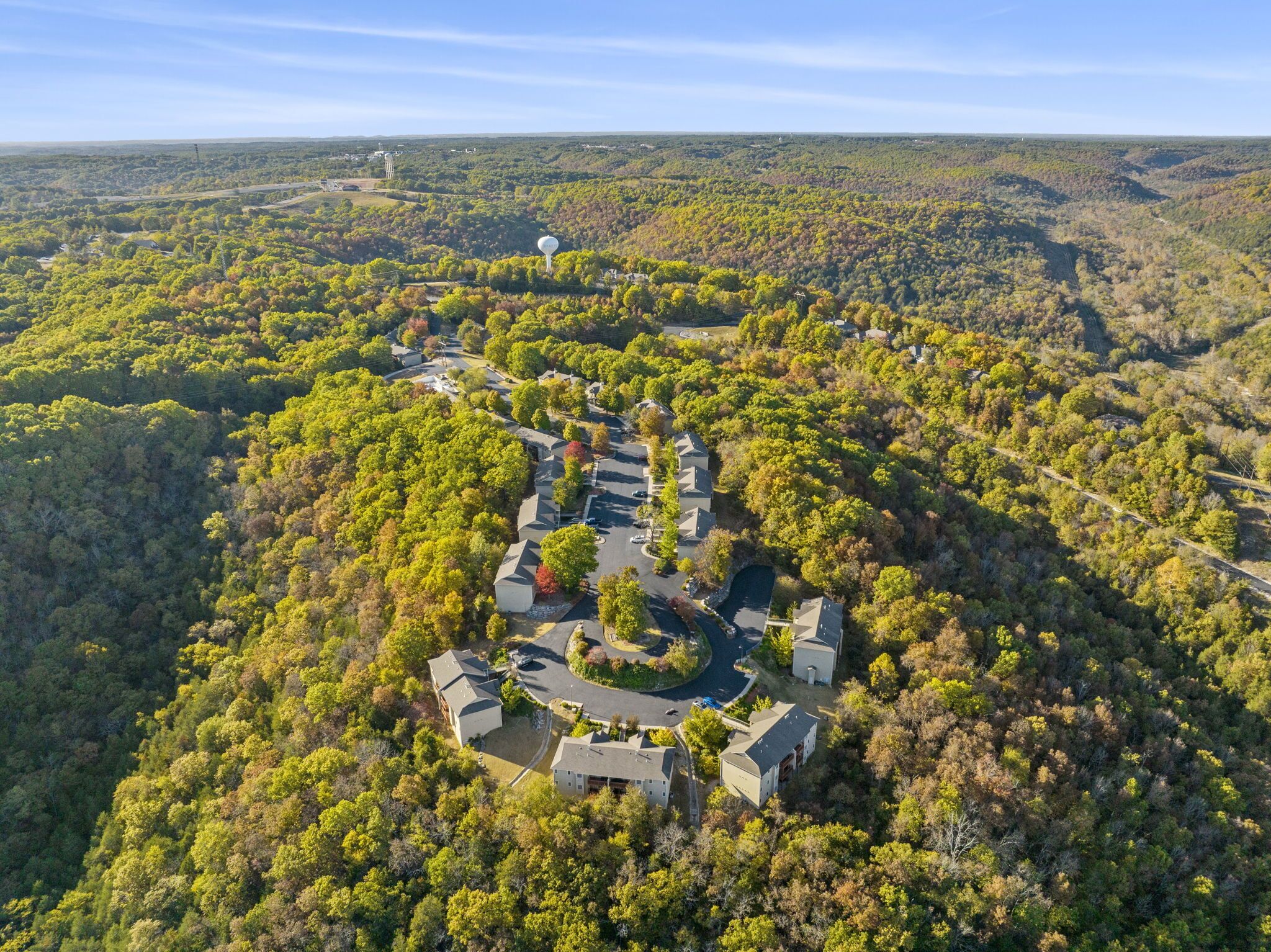 Vista aérea de una zona residencial con casas dispuestas en un círculo alrededor de un espacio verde central, rodeada de un bosque denso.