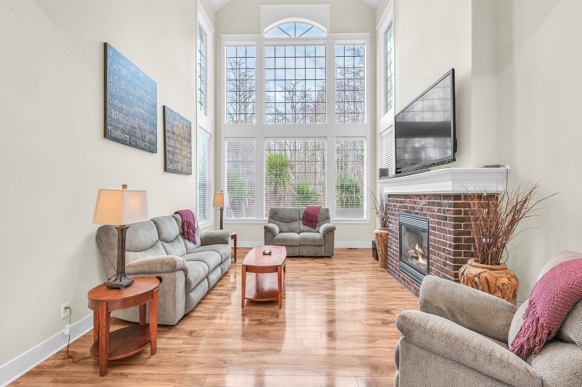 Smart TV, fireplace, video games, DVD player