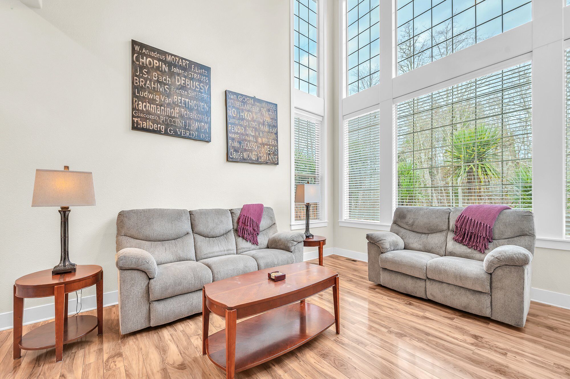 Smart TV, fireplace, video games, DVD player